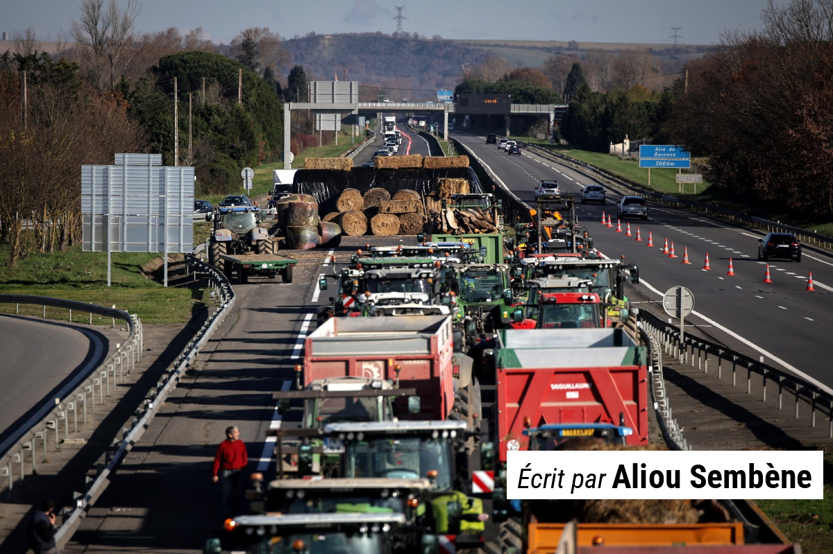 À Carbonne, comment les défenseurs de l’A64 s’opposent farouchement aux abattages de troupeaux atteints de dermatose nodulaire ? À Carbonne, comment les défenseurs de l’A64 s’opposent farouchement aux abattages de troupeaux atteints de dermatose nodulaire ? | Urgent Story